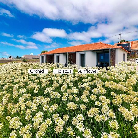 Ourmadeira - Quinta Inacia, Countryside Escape Διαμέρισμα Calheta  Εξωτερικό φωτογραφία